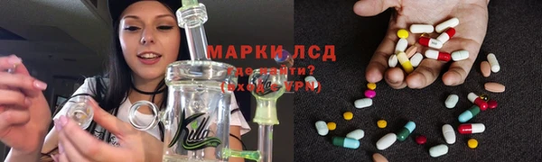 apvp Нея