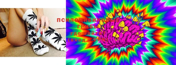 твердый Новодвинск