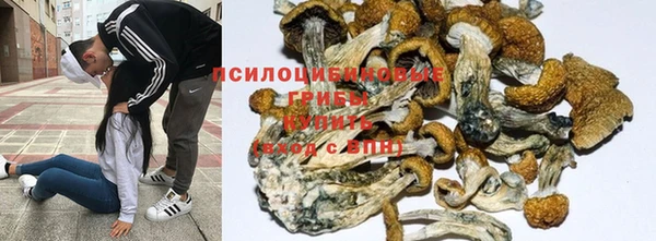 кокаин VHQ Новозыбков