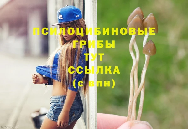 apvp Нея