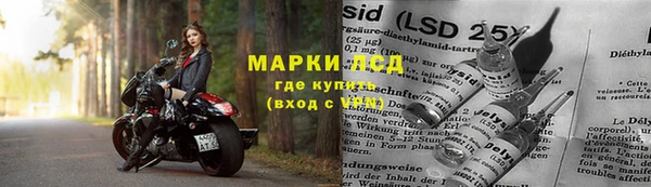 твердый Новодвинск