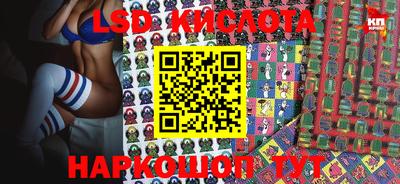 шишки Аргун