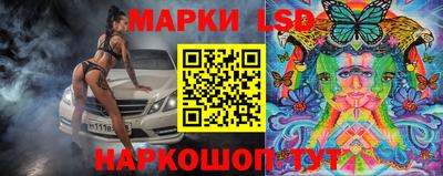стаф Аргун
