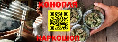 стаф Аргун