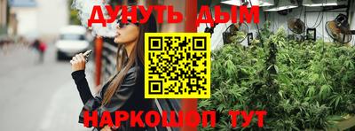 шишки Апшеронск