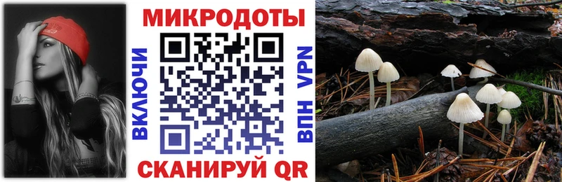 Псилоцибиновые грибы Cubensis  mega ссылки  Белореченск 