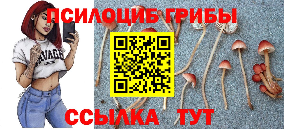 Галлюциногенные грибы Magic Shrooms Белореченск