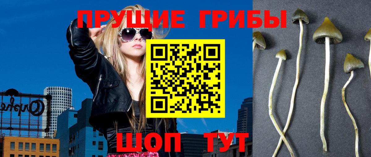 Галлюциногенные грибы мухоморы Белореченск