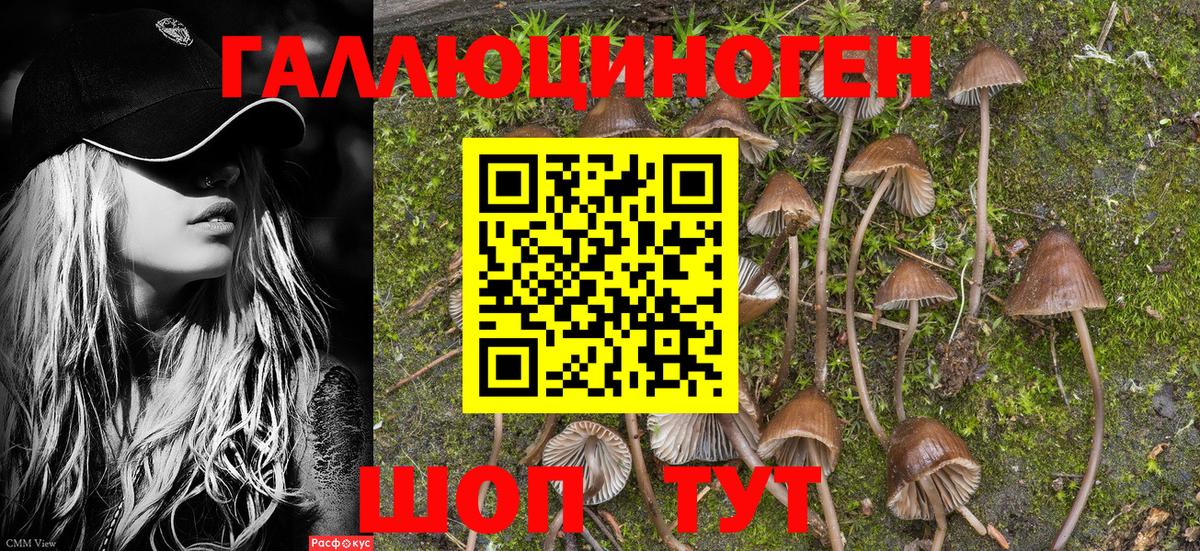 Галлюциногенные грибы мухоморы  продажа наркотиков  Белореченск  Вход с VPN 